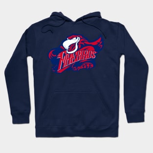 Firebirds Sports Logo Hoodie